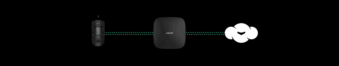 Comunicación estable entre un detector de movimiento, el panel central Ajax Hub y el servidor remoto Ajax Cloud.