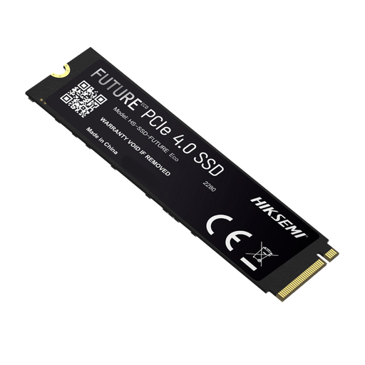 HS-SSD-FUTURE-2048G