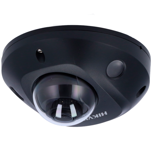 DS-2CD2543G2-IS(2.8mm)(BLACK)